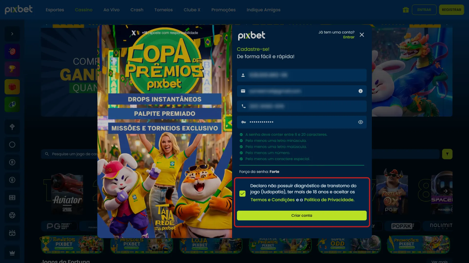 Confirme seu cadastro na Pixbet para validar a nova conta.